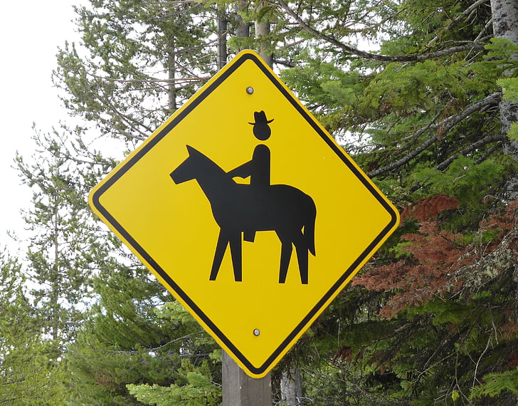 кінні прогулянки, Голова, капелюх, жовтий, США, Кінь, знак