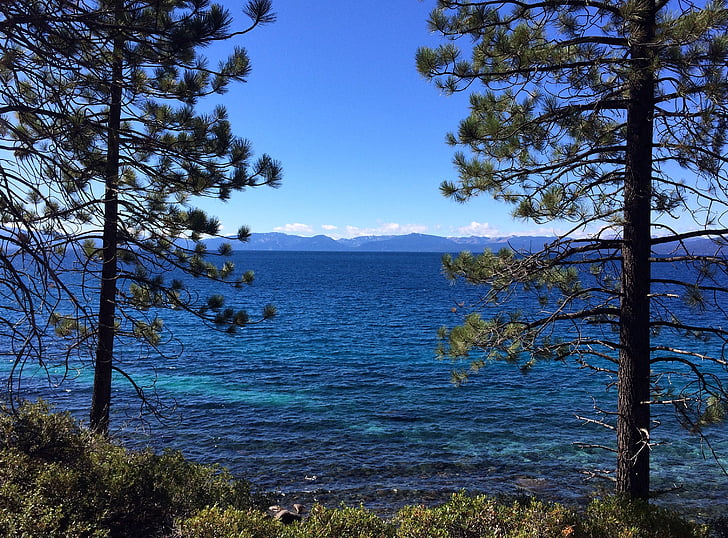Tahoe, ezers, Lake tahoe, zila, ūdens, koki, debesis