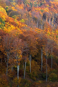Hongarije, Mátra bergen, landschap, herfst lichten, herfst bos, Bergen, schoonheid