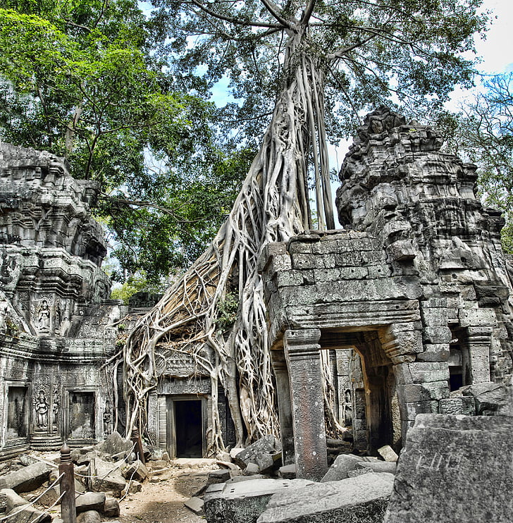 ta prohm, Cambodja, Angkor, Wat, Toerisme, het platform, reizen