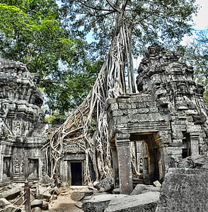TA prohm, Камбоджа, Анкор, Wat, Туризъм, архитектура, пътуване
