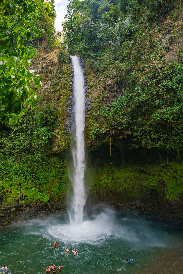 víz alá, Costa Rica, trópusi, esőerdő, víz, vízesés, Costa