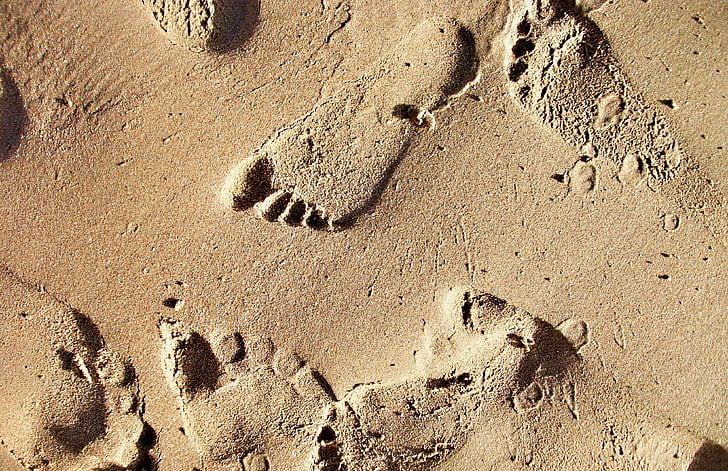 sand, beach, footprints, traces, footprints in the sand, sand beach, footprint