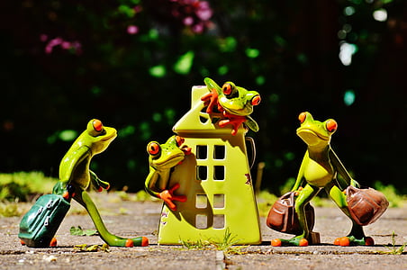 frogs, at home, welcome, arrive, deco, funny, frog