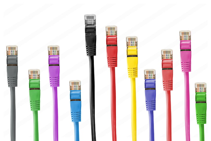 LAN, cables, assortit, colors, il·lustració, cables de xarxa, connector