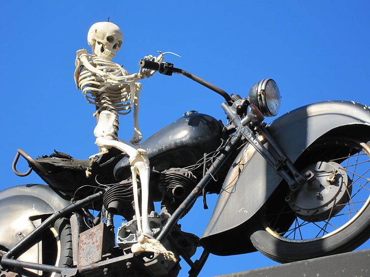 오토바이, 해골, 자전거, 뼈, 오토바이, 해골, 차량