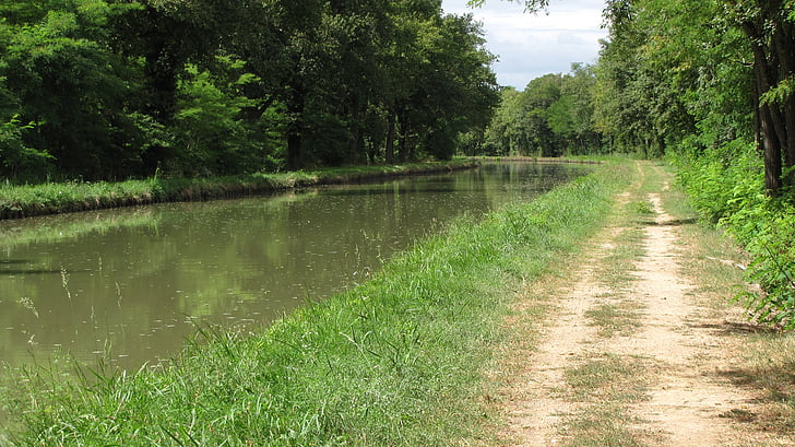 canal, chemin d’accès, nature