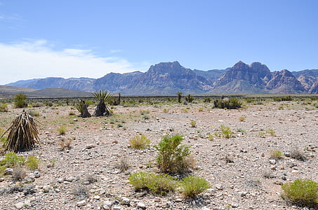 Nevada, Cañón de roca roja, desierto, Estados Unidos, América, seco, sequía