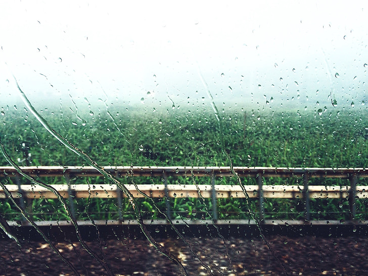 dež, okno, gozd