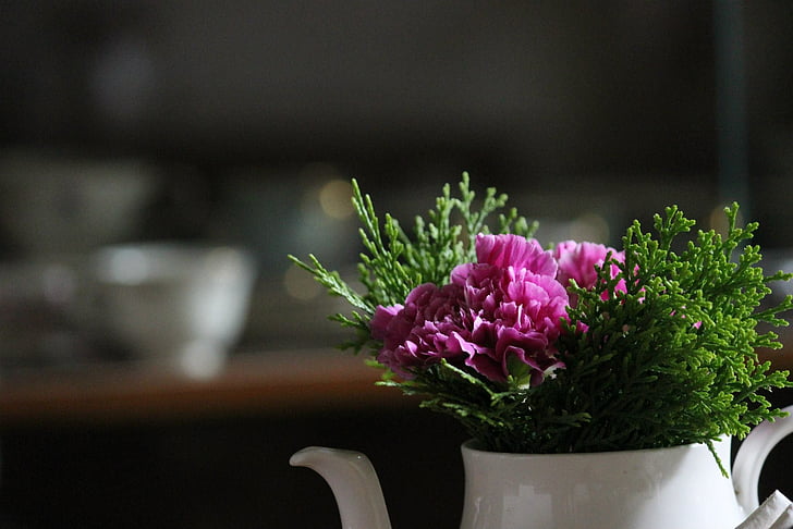 floare, floare, ceramica, Flora, flori, ceainic, floare