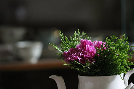 bloom, blossom, ceramic, flora, flowers, teapot, flower
