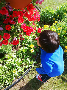 Blumen, Junge, Park, Kind, Natur, glücklich, Kind