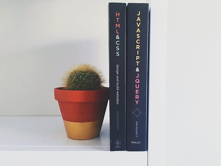 knihy, kaktus, vedomosti, rastlín, kvetináč rastliny, biele pozadie, žiadni ľudia