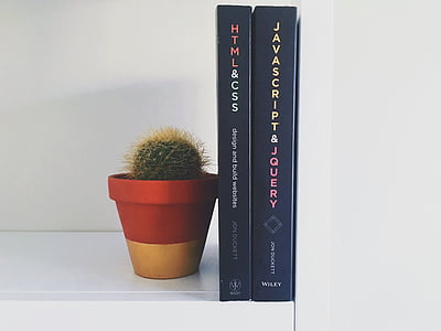 boeken, Cactus, kennis, plant, potplant, witte achtergrond, geen mensen