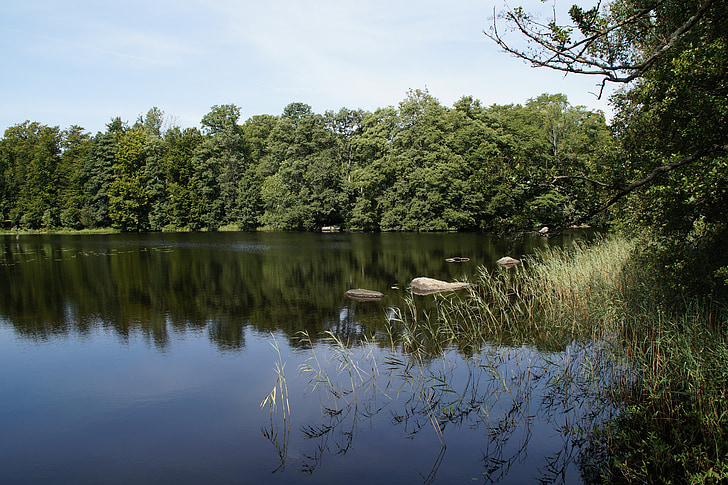 lake, landscape, sweden, nature, water, bank, trees