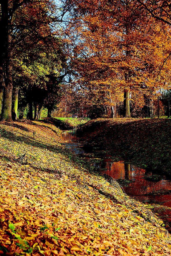 jesen, potok, lišće, drvo