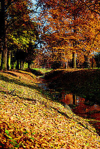 automne, le ruisseau, feuillage, arbre