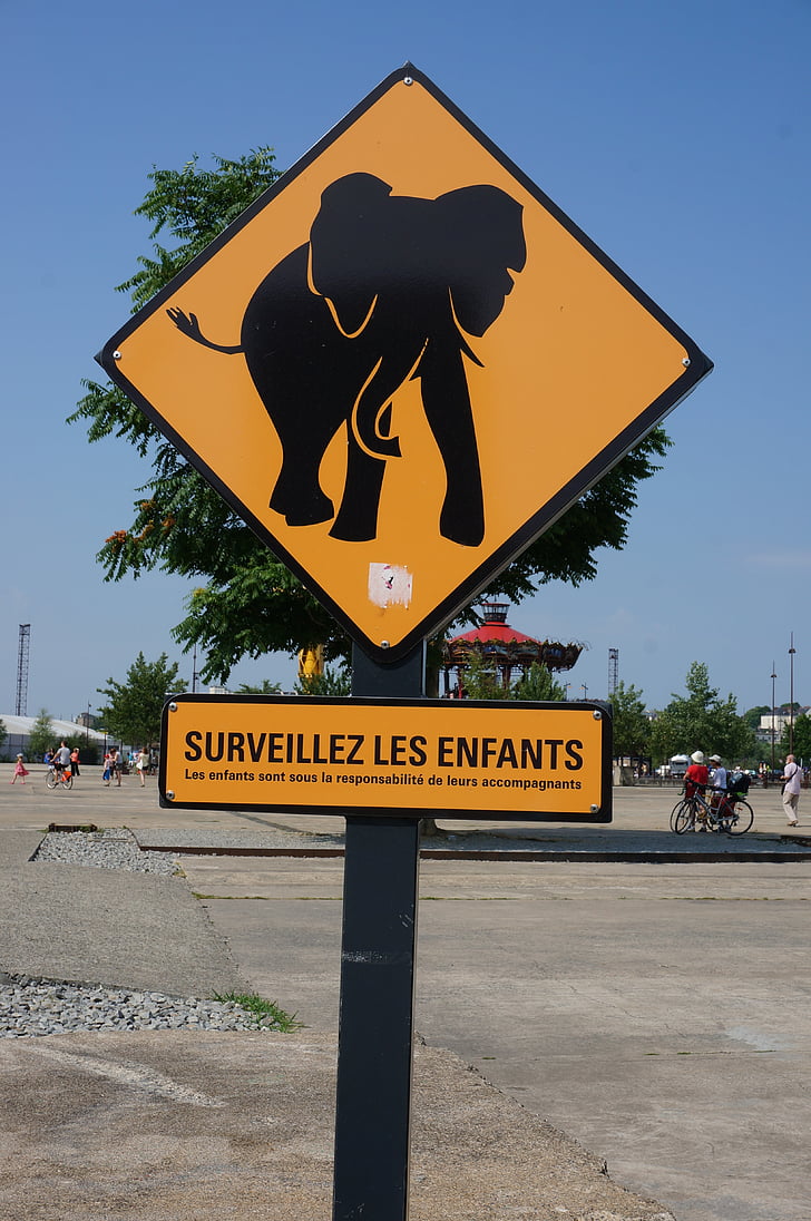elefant, tegn, Nantes