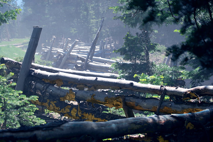 гора, мъгливо, сцена, дървен материал, регистър, ограда, природата