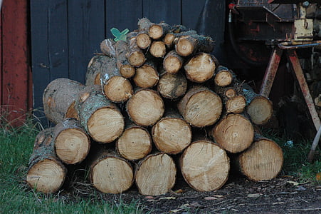 log, kayu, pohon, tinggi, kayu, hutan, tumpukan