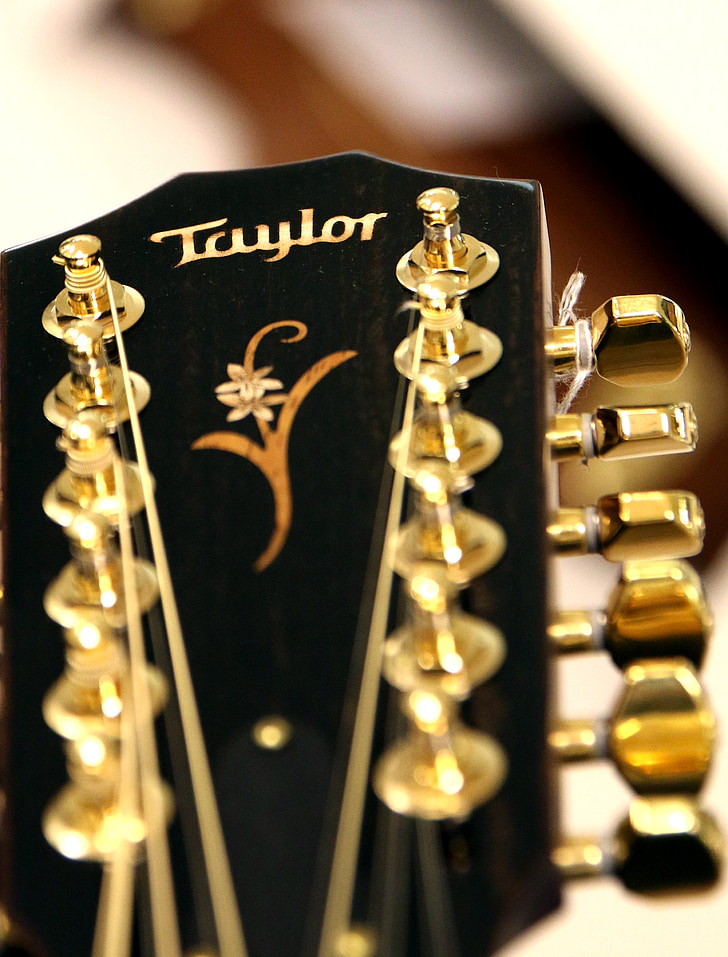 ģitāra, akustiskā ģitāra, virknes, Taylor, 12 stīgu, ģitāra galvu, akustika