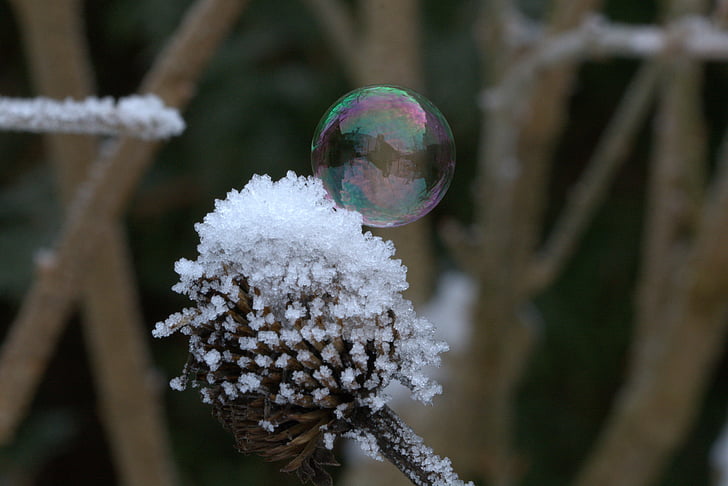 zeepbel, ze, bevroren, bevroren zeepbel, Frost, structuur, Bubble