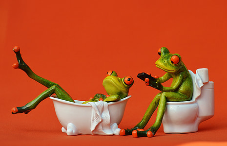 kúpeľ, Loo, žaby, smiešny, kúpeľňa, Relácia, milý