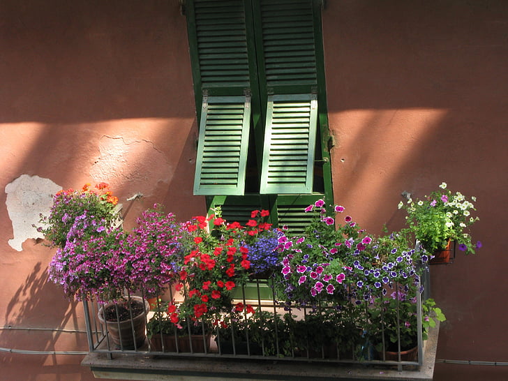 květinové, systém Windows, jaro