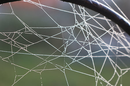 musim gugur, Cobweb, logam, sarang laba-laba, Dewdrop, morgentau, bermanik-manik