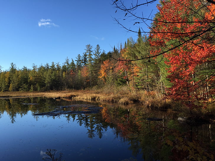 reflektioner, dammen, Adirondacks, vatten, landskap, hösten, Sky