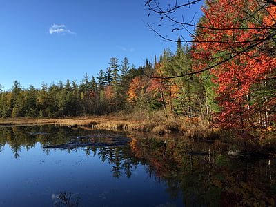 Reflexionen, Teich, Adirondacks, Wasser, Landschaft, Herbst, Himmel