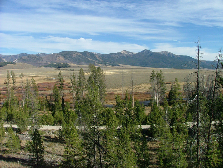 Mountain, alue, näkymä, luonnonkaunis, Metsä, Idaho, saha