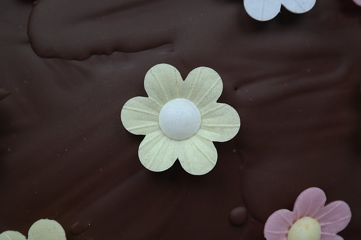 Ornamen, bunga, kue coklat, kue, cokelat, alam, bunga