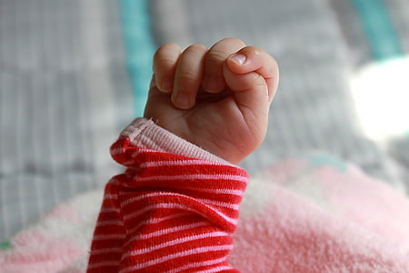 baby fist, infant, hand, small, closed, fingers, young