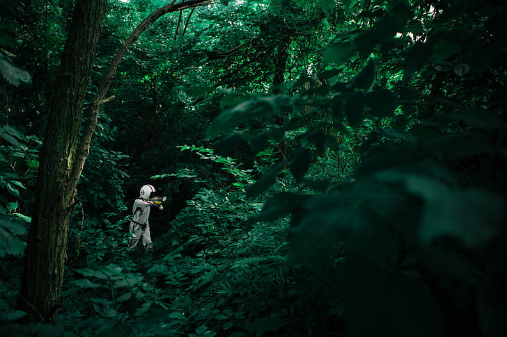 person, wearing, white, costume, middle, forest, green