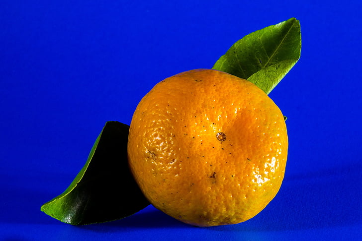 dva, zelena, list, narančasta, mandarina, voće, citrusa