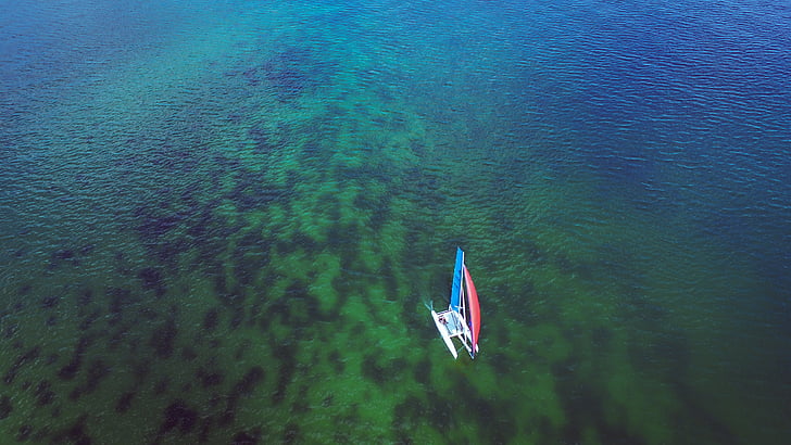 víz, csónak, tenger, zászló, zöld színű, hazafiság, a szabadban