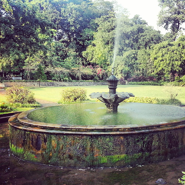 fountain, vintage, grunge, botanical garden, indonesia, green, environment