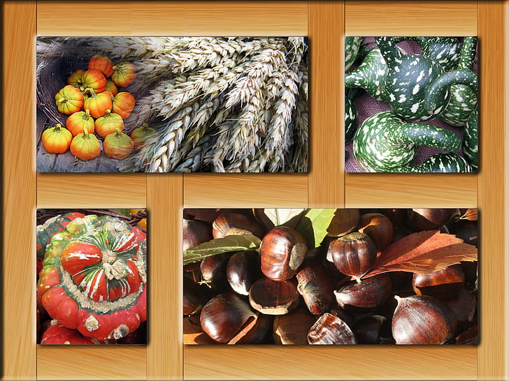 poster, autumn, frame, decoration, colorful, october, harvest