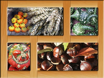 cartel, otoño, marco de la, decoración, colorido, Octubre, cosecha