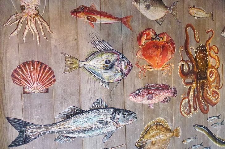fisk, havdyr, meeresbewohner, vand væsen, undersøiske verden, dyr, farverige