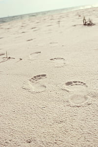 ljudski, stopala, korake, smeđa, pijesak, otisci stopala, plaža