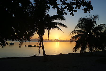 tahiti, sunset, sun, evening, palms, silhouette