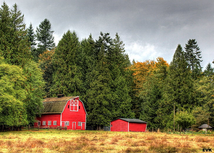 barn, red, landscape, clouds, trees, sky, nature