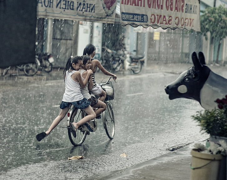 deti, šťastný, prehrávanie, na koni, bicyklov, dážď, rastliny