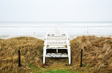 Branco, de madeira, cadeira, perto de, oceano, água, dia