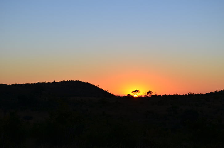 África, puesta de sol africana, puesta de sol, Sudáfrica, Safari, silueta, salvaje
