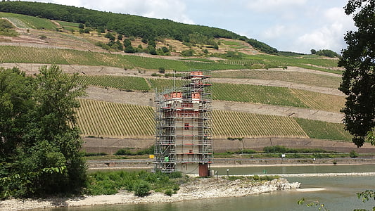 toren, Rijn, landschap, Sachsen, wijnbouw, wijngaard, wijn