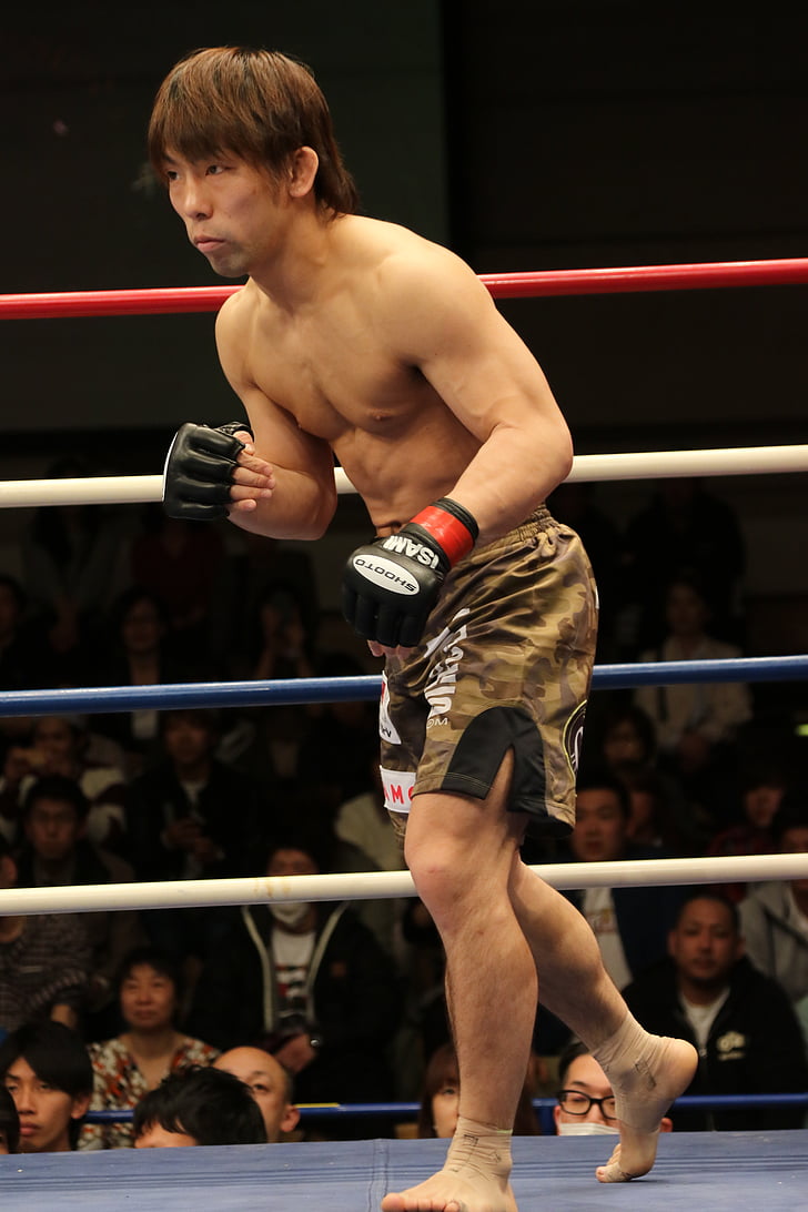 MMA, mješoviti borilačke vještine, Shooto, Japan, maza borba, maza, borac