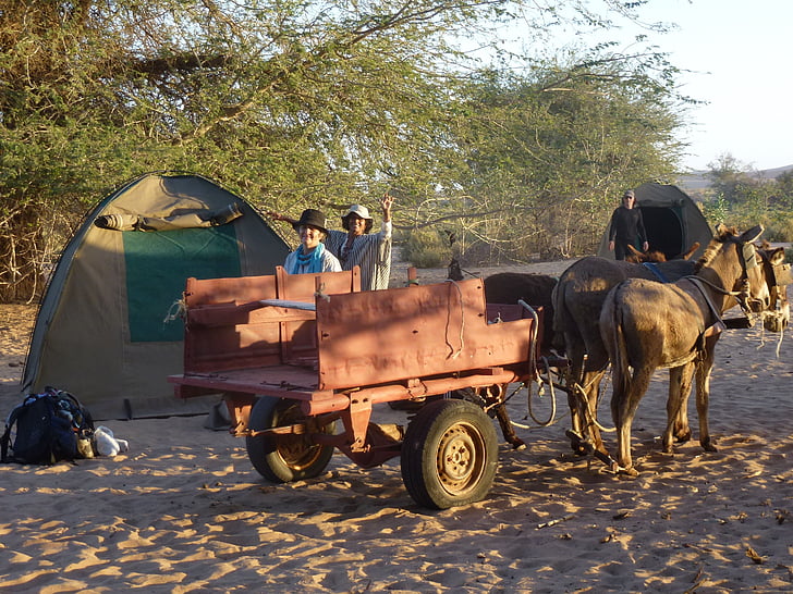 vagn, landskap, Namibia, resor